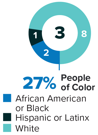 piechart_ethnic.jpg